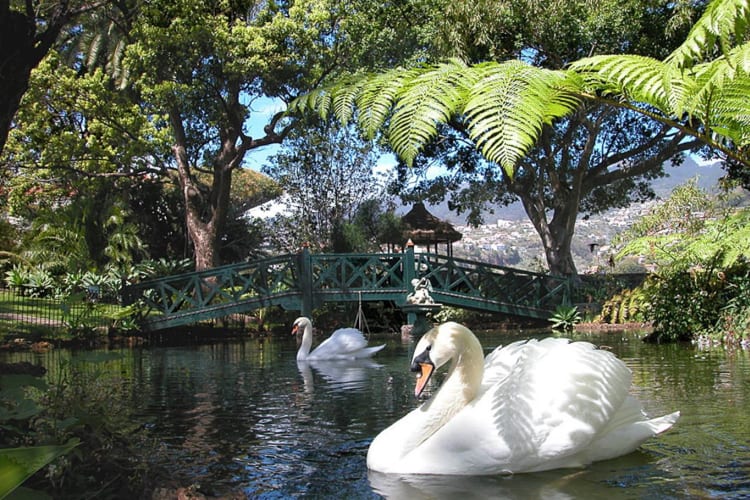 Botanical gardens4
